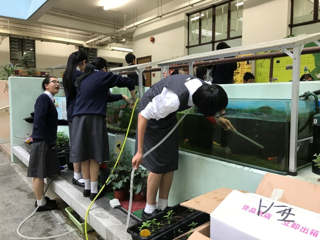 協助餵養校內魚類工作